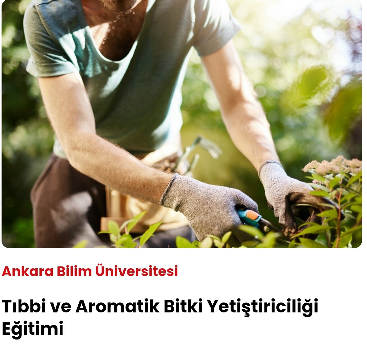 edem_emir's tweet photo. Eğitimlerimize online olarak Türkiye'nin  heryerinden ulaşılabilir.Uygun fiyatlı,üniversite onaylı ve e devletten sorgulanabilir serifikalı eğitimlerimizi almak isterseniz,bizim ile iletişime geçebilirsiniz.#bitkiyetiştiriciliği #bitki #aromatik #kariyer #meslekieğitim #online https://t.co/MU7sdGNo7M