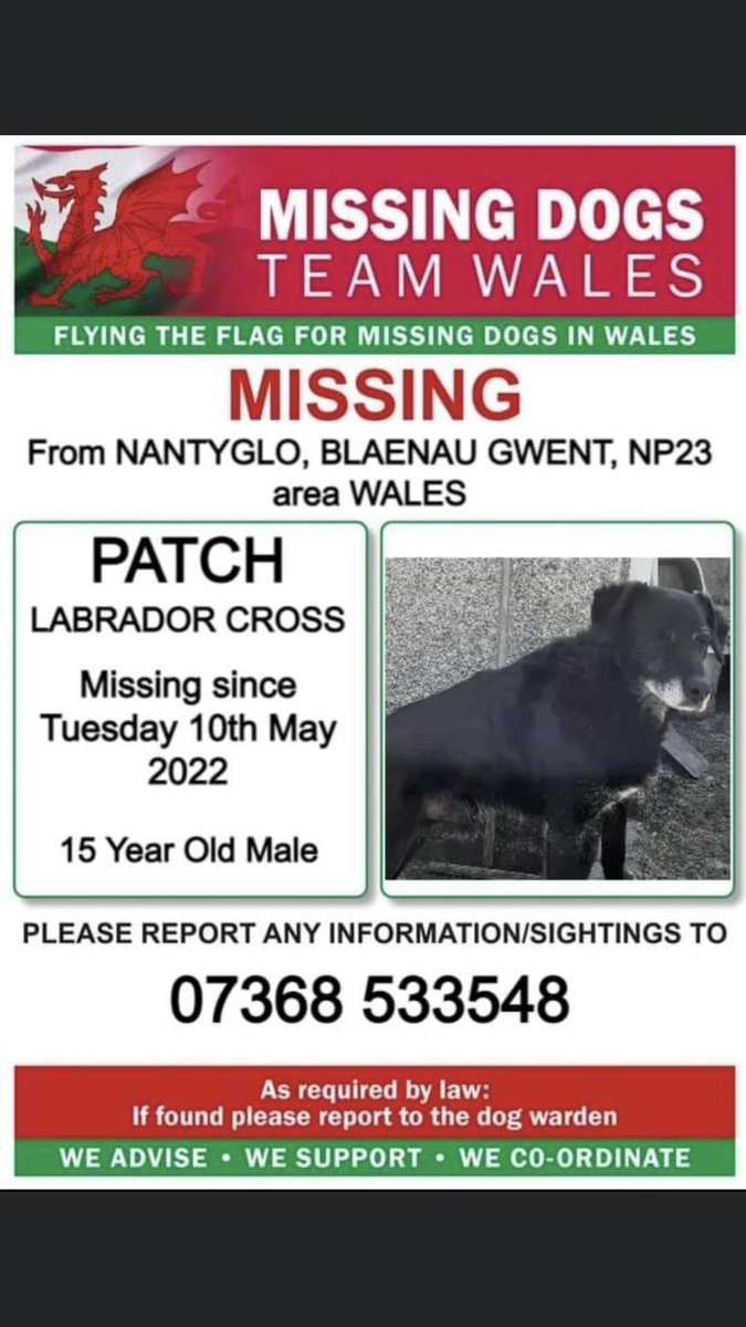 RachaelB100's tweet photo. โผ๏ธPATCH IS 15YEARS OLD AND #MISSING โผ๏ธ
#LABRADORX
FROM #NANTYGLO AREA #BLAENAU #GWENT #NP23 #WALES
โฆ๏ธSINCE TUESDAY 10th MAY
Family very worried about him now ๐ข
https://t.co/GYTFAG9RKg
@GPBlaenauGwent
@tredegarwales
@BlaenauGwentMP
@BlaenauGwent
@missingdogwales https://t.co/R12ug8n9kI