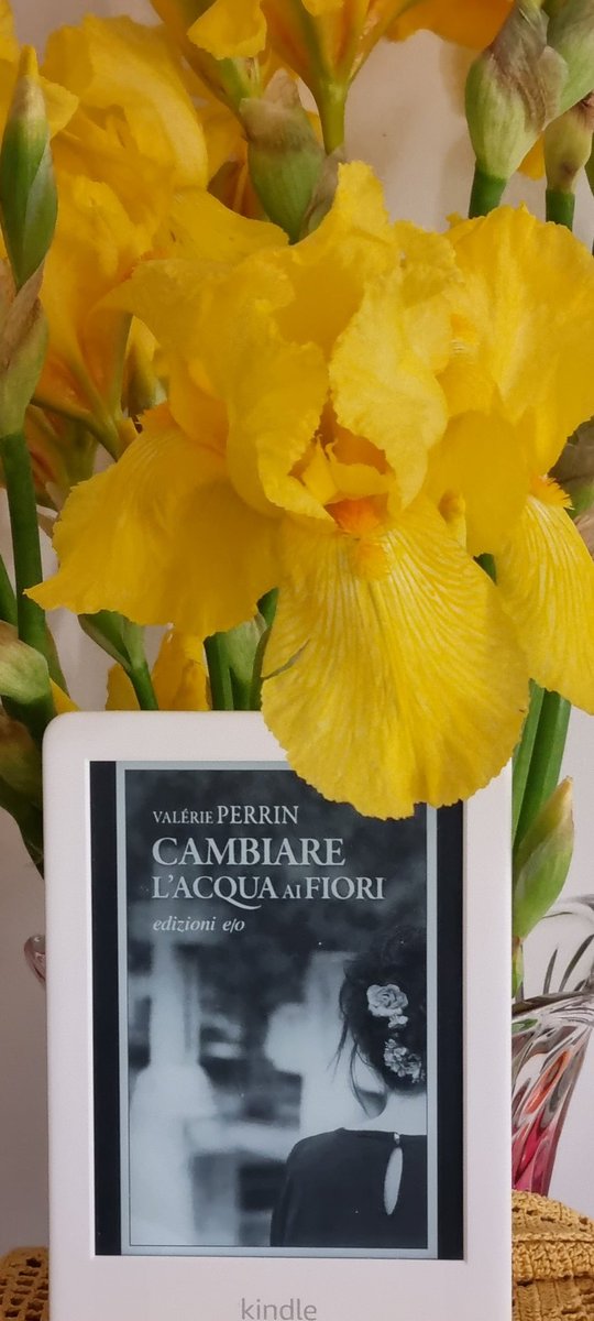 PaluPatrizia's tweet photo. 📚 19° Libro del 2022 📚 

Cambiare L'Acqua Ai Fiori
Autore @valerieperrin_
Edito @EdizioniEO
 https://t.co/M3EyQHMeK4 https://t.co/cPwJlFPu4O