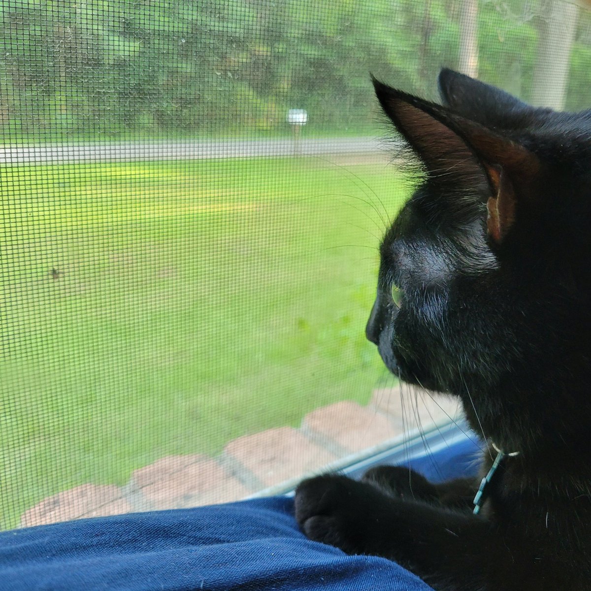 hhhhsjdkfkda's tweet photo. There's a spider on my window. https://t.co/cwduq9U5tf