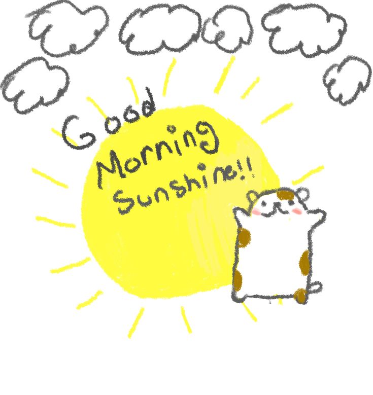 hadidcomfort's tweet photo. ☀️☁️💛 https://t.co/V4U1eRw9xY