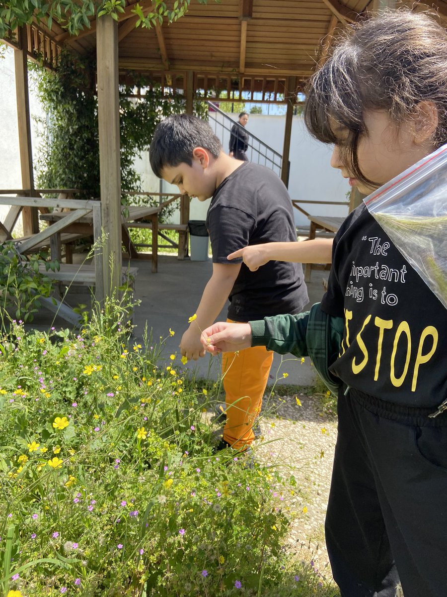 Çevremizdeki bitkiler konusu için okul bahçemizi dolaşıp kaşif notları oluşturduk 🌺 ☘️ 
<a href="/EnisEryaman/">Enis Eryaman</a> 
<a href="/suleymancalis33/">Süleyman Çalış</a> 
<a href="/AysenurBagmen/">AysenurBağmen</a>
<a href="/DogaOkullari/">Doğa Koleji</a>
@Bahcesehr2_Doga
