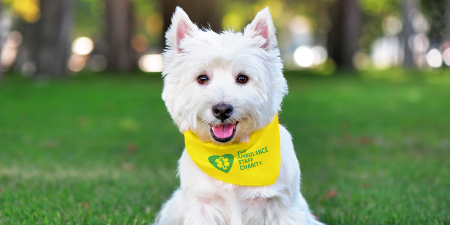 TASCharity's tweet photo. 📣 New product! Dress your pet to impress with the latest #PetAccessory - TASC bandanas! Available for pre-order at: https://t.co/1CEWy2TZSl 

Limited stock, so grab yours now! All sales will help raise funds to support the UK’s #Ambulance community in their time of need! https://t.co/oq27n8Sdjk