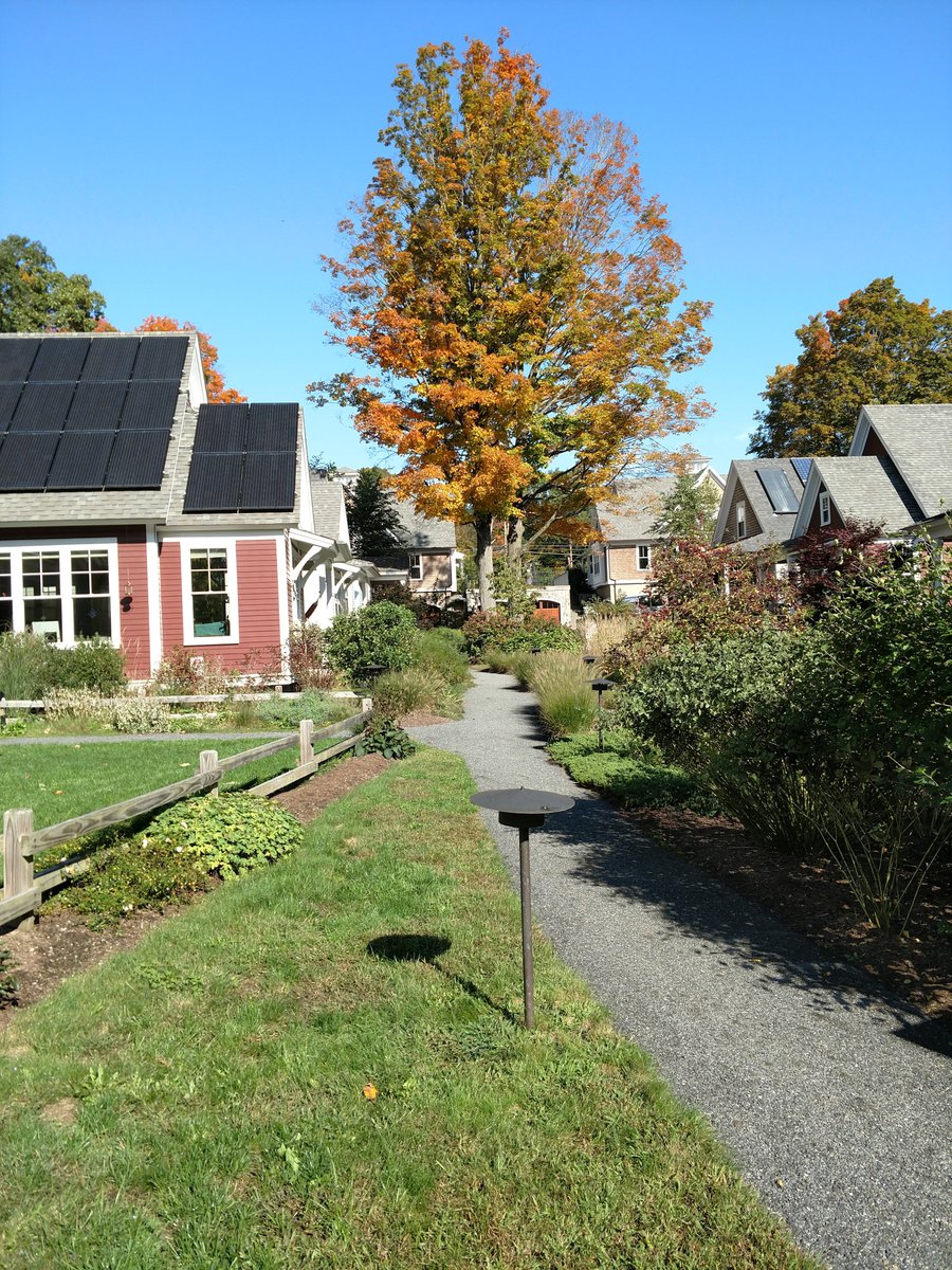 What we do in our backyards impacts our local creeks and critters. Check out some steps you can take to protect our environment: bit.ly/3hJdfmQ #SustainableConcord