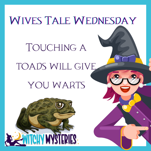 WitchyMys's tweet photo. Touching a toad will give you warts.

Or if you read our upcoming book Cagey Catastrophe, you'll find that maybe at least a little dizziness can come from toads🙂

#WivesTaleWednesday #cozymystery #paranormal #paracozy #paranormalcozymystery #witchy #witch #book #books #bookish https://t.co/0qmX2vEtgg