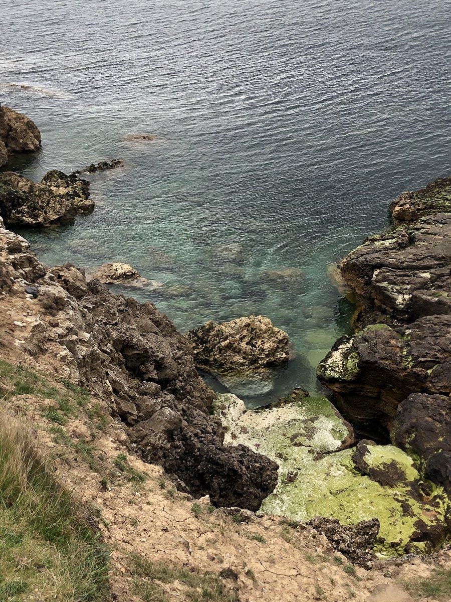 ST Women's Aid / PfP tweet media