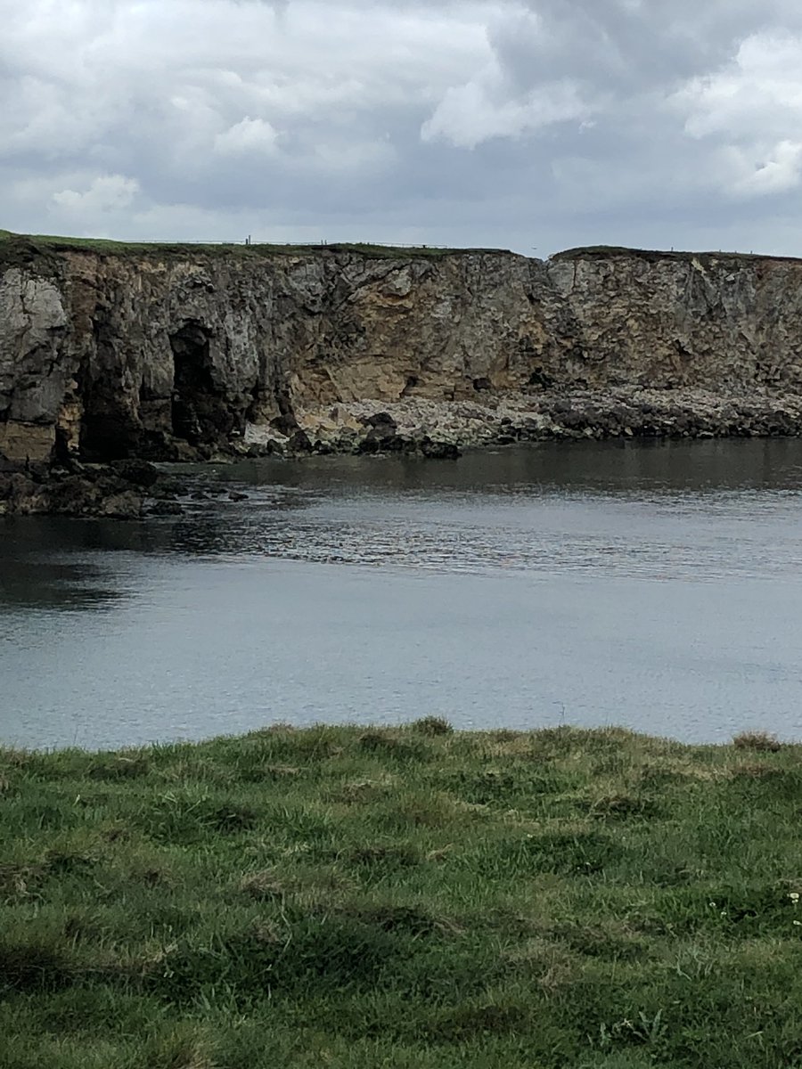 ST Women's Aid / PfP tweet media