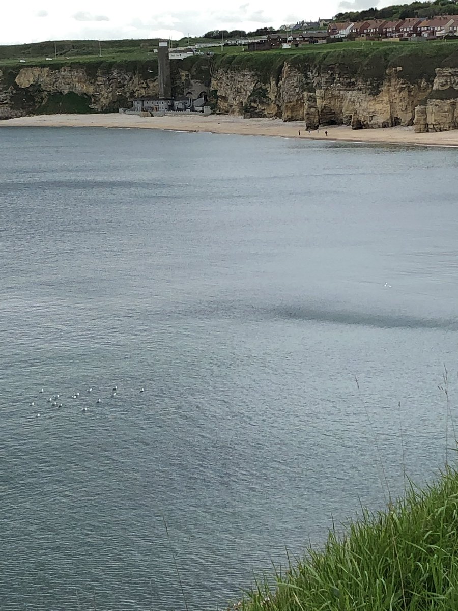 ST Women's Aid / PfP tweet media