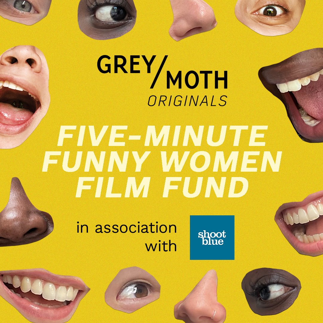 Grey Moth tweet media