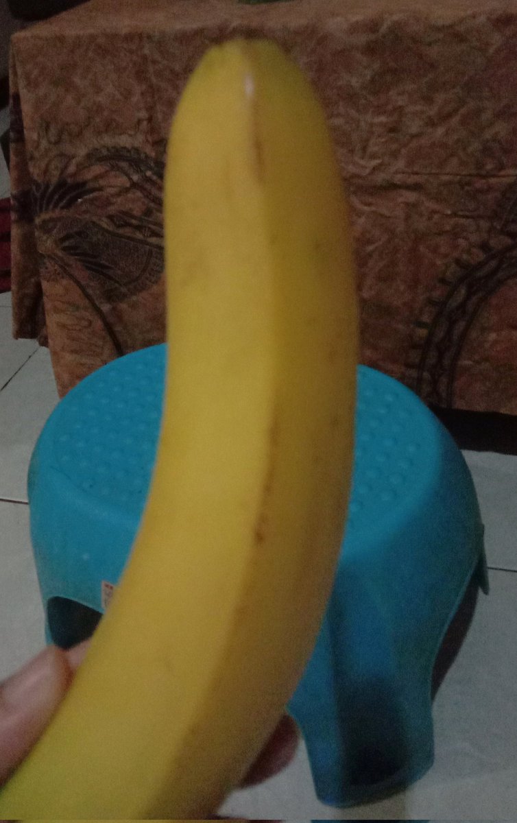 dah lama ga makan pisang
malah mules

🤡
setidaknya pernah rasa
meskipun pd akhirnya nelangsa
sekedar berbagi cerita
pisang ini tlah buatku derita

#CelahAwan
#baladasangpisang