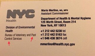 AnubisSekhmet's tweet photo. @LabsCatsHorses @KendiEthier @NMBewitched @NYCHealthCommr @nycHealthy @ashvasnyc @DrTorian @NYCHealthCMO Mario Merlino, bureaucrat at @nychealthy. 

#dohmh #MarioMerlino
https://t.co/CQ2fQuOF8f https://t.co/z3DKAC2R0R