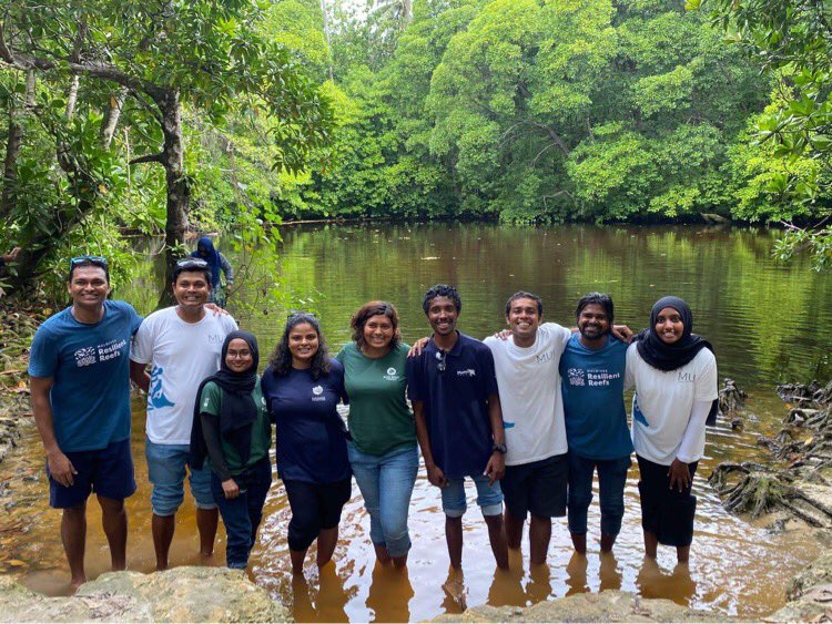 Maldives Resilient Reefs tweet media