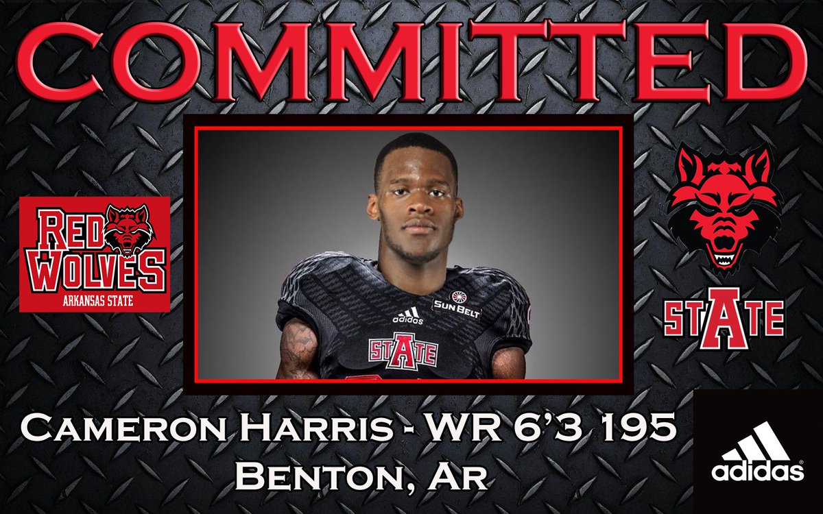Cam J Harris tweet media