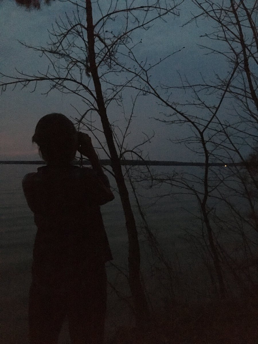 UMBS's tweet photo. Associate Director Karie: a silent guardian. A watchful protector. The hero @UMBS deserves. #batwoman #karieseesall #bugcamp https://t.co/r3s4s3Ukhg