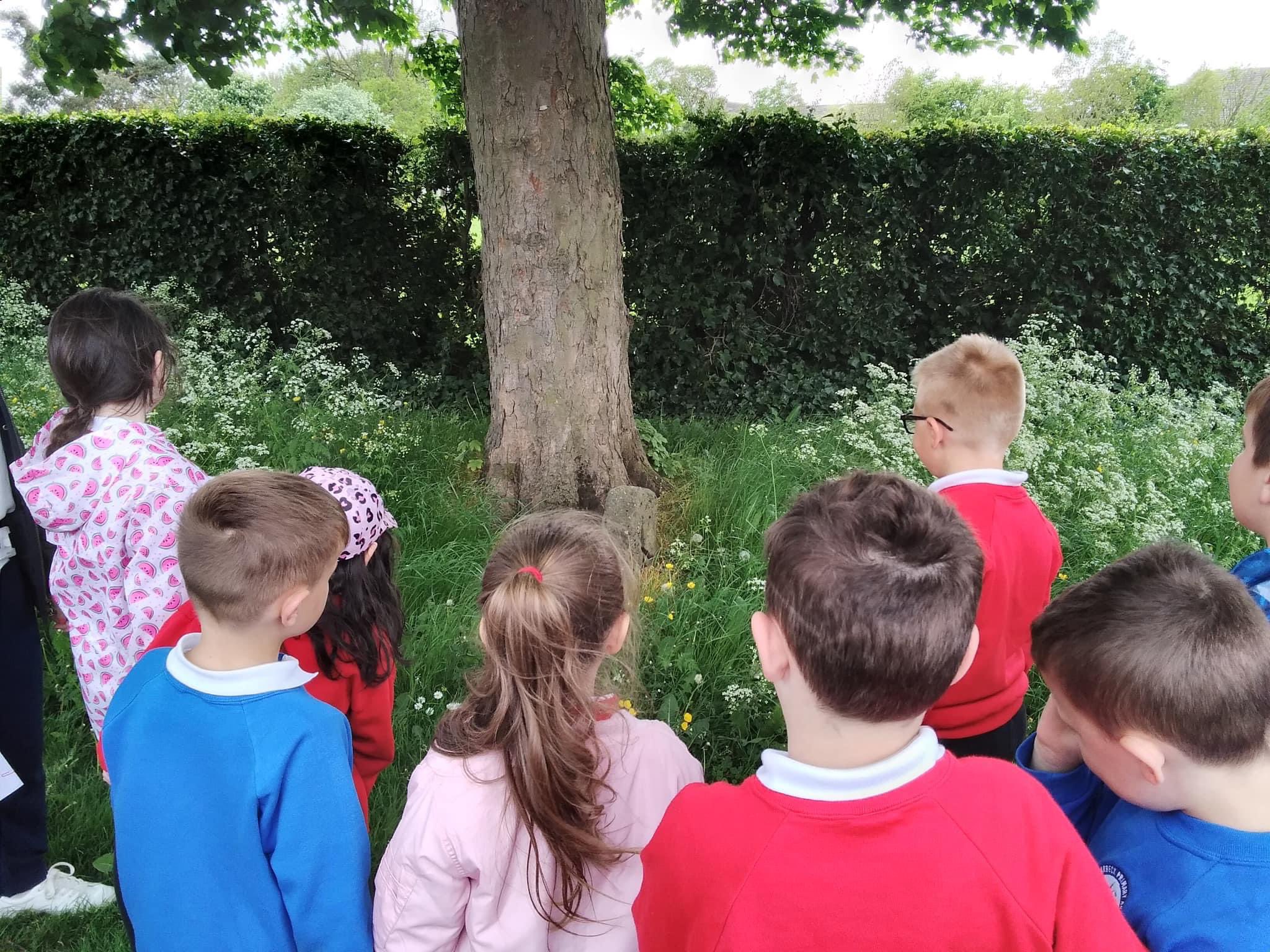 Starbeck Primary Academy on Twitter "Year 2 enjoyed an educational walk around the local area