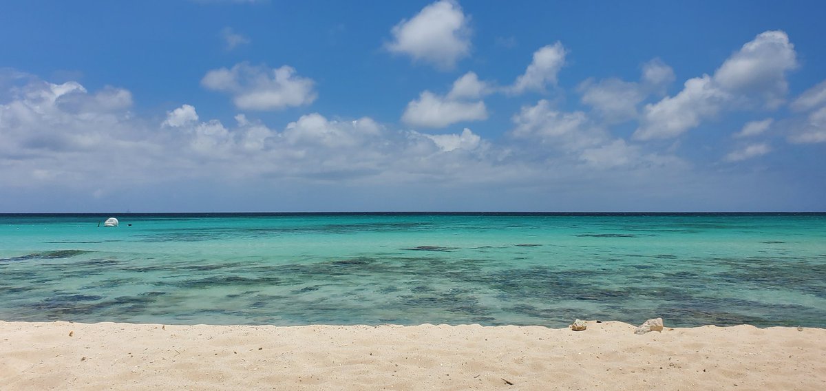 Absolute Paradise. ARUBA 2022