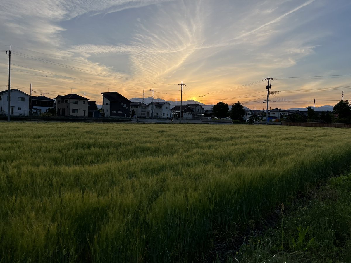 basstro63's tweet photo. 通勤経路がのどかで癒される https://t.co/ndXt6NxDF0