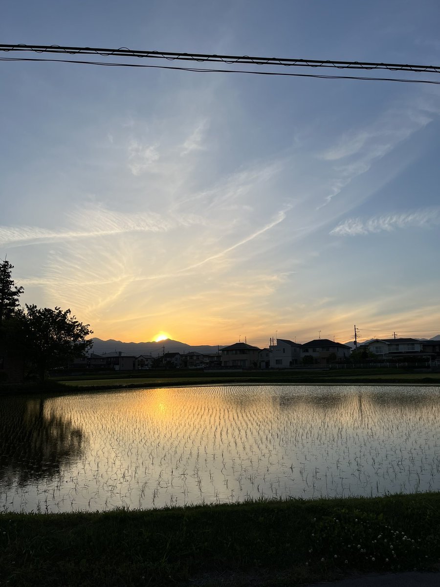 basstro63's tweet photo. 通勤経路がのどかで癒される https://t.co/ndXt6NxDF0