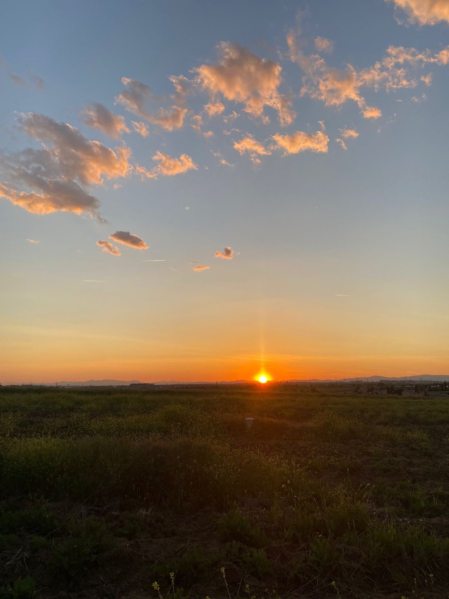 caarolalcant's tweet photo. entre examen y examen, atardecer https://t.co/qAackJtQXa