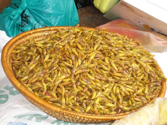 freeman_newsug's tweet photo. Githeri🇰🇪v🇺🇬Nsenene. Likes for Nsenene and retweet for Githeri
#KenyaVsUganda https://t.co/TWDnCnLo3d