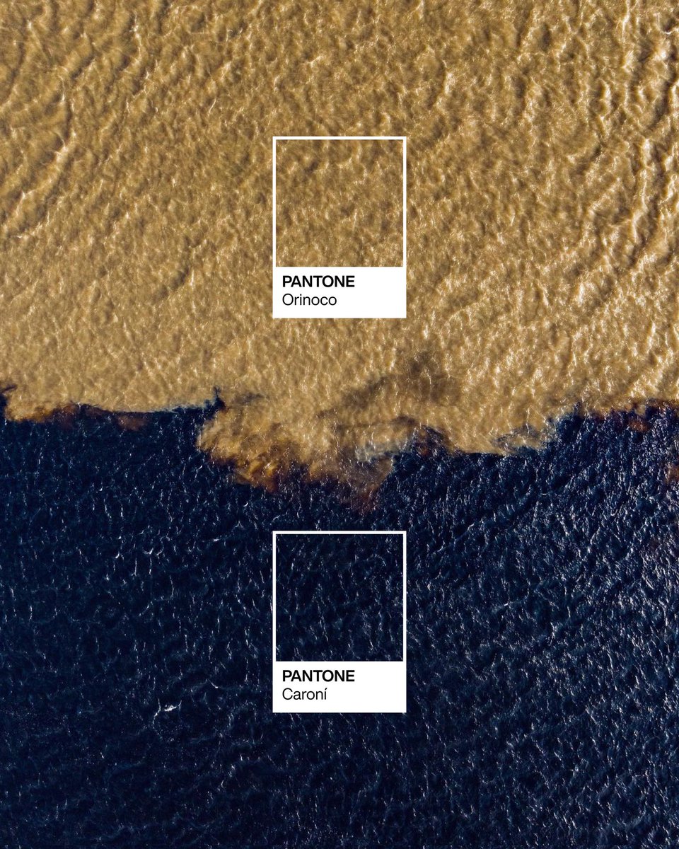 SoyVlas's tweet photo. El @pantone de Guayana https://t.co/rDFmwHMlFa