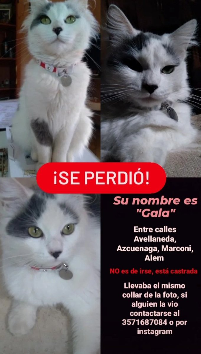 Si pueden compartir porfa!!🙏🏻🥺