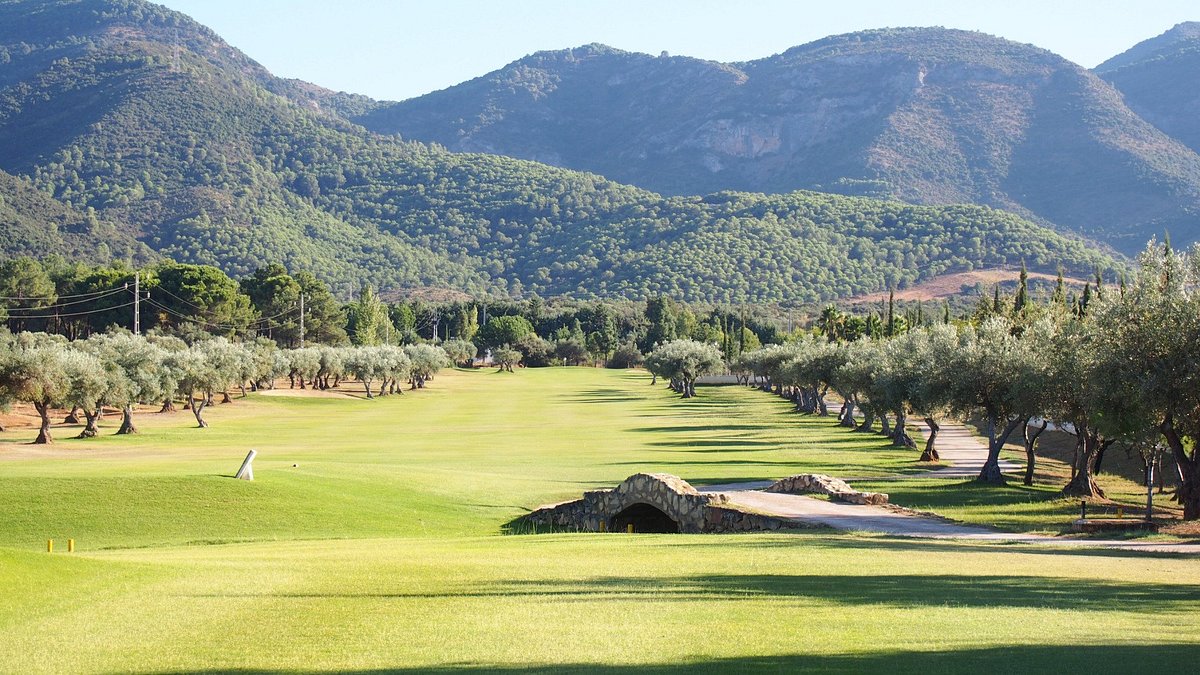 Golfbreaks.ie tweet media