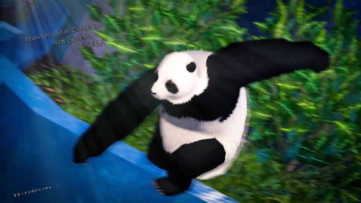 タグ Pso2ngs の注目ツイート 2ページ目 メガとんトラック