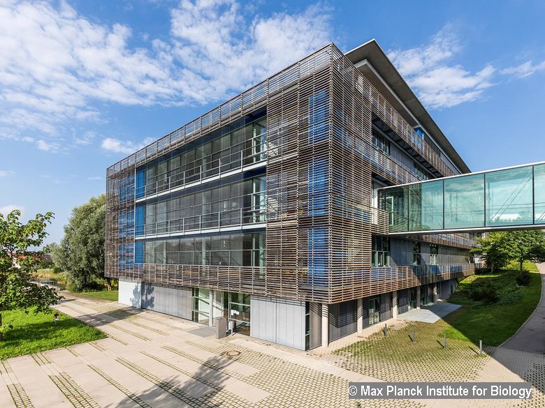 ResearchGermany's tweet photo. Don't miss this #PhD position offered at @MPI_Bio when you are into Biology 👉https://t.co/FoJzVZFAop #PhDGermany #MolecularBiology #Biochemistry #StructuralBiology #ComputationalAnalyses https://t.co/7JIvgnvQoM