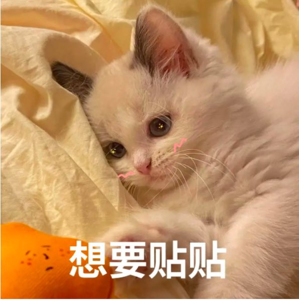 小花花 tweet media