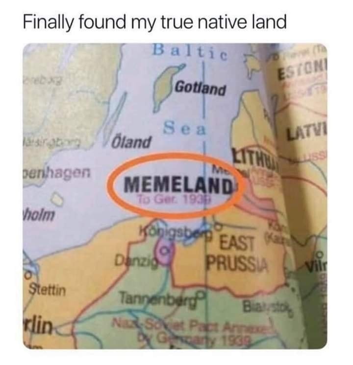 Louis ❤️ Memeland tweet media