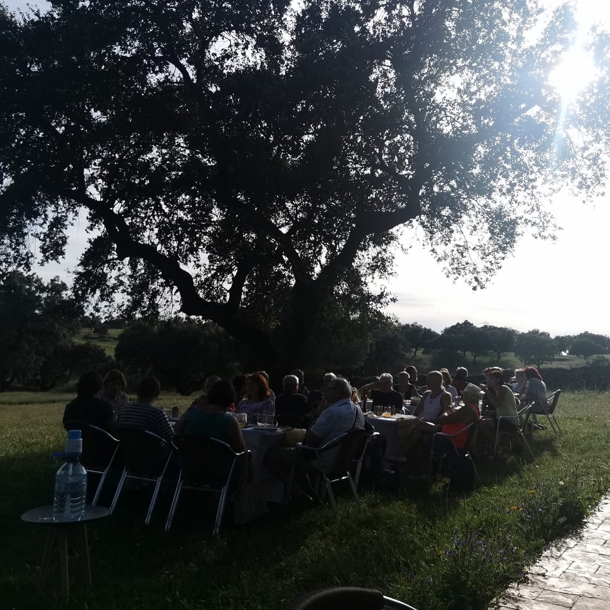 Disfrutando de la vida en La Dehesa
#SierradeMonfragüe #VenaVernos