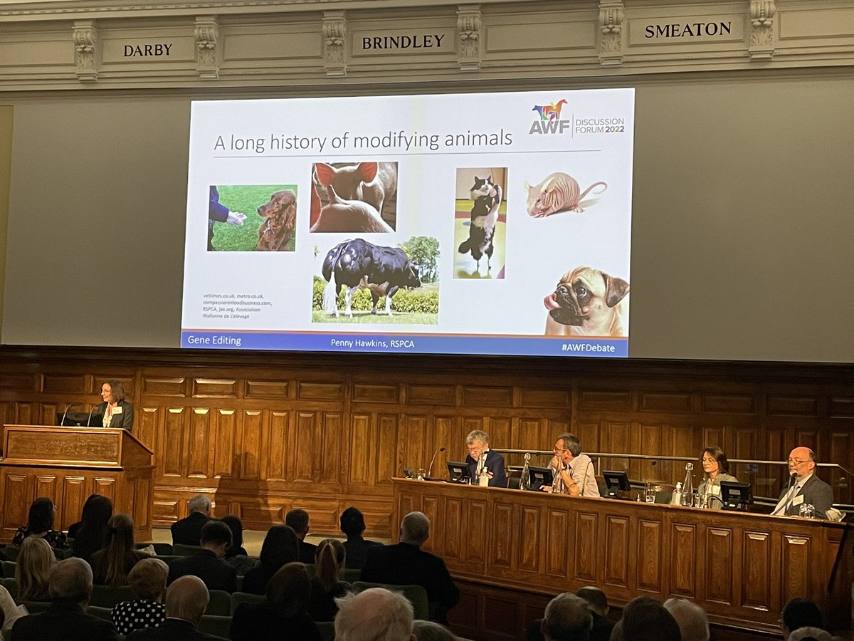 uttoxeterjames's tweet photo. If we don’t know the risks of gene editing, and might not recognise when it has gone wrong, can it be right to allow it? Will breeding for disease resistance promote acceptance of poor practice? Great discussion at #AWFDebate @AWF_VETS @BritishVets. Counter argument coming soon! https://t.co/TSNlFB3b76