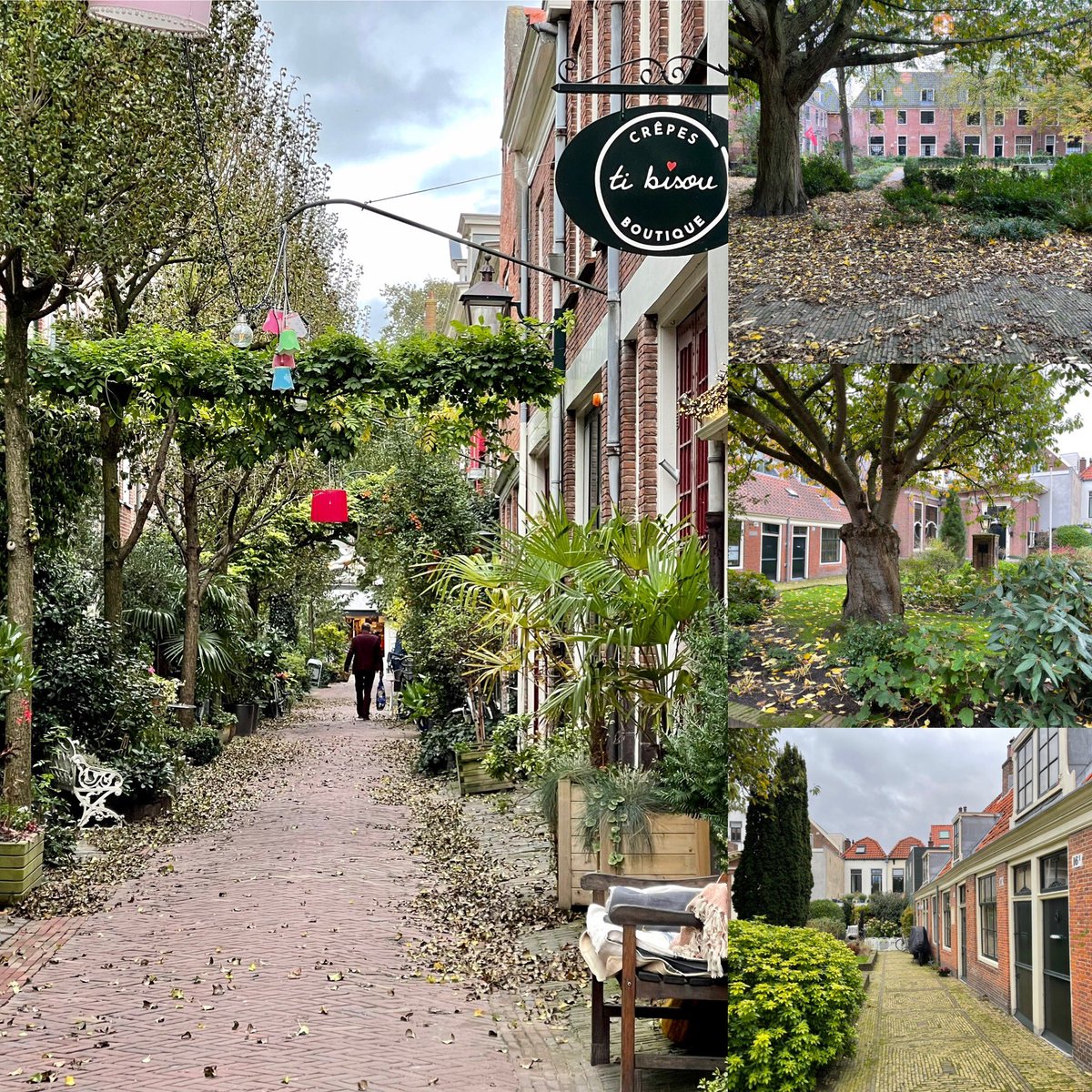 AAARCHITECTEN's tweet photo. @bertvandorp Vergroenen van de straat en gevels. Dit verlaagd niet alleen de temperatuur in het openbaar gebied, maar ook binnen de woning. Daarnaast maakt het groen de straat aantrekkelijker, verhoogd het de biodiversiteit en versterkt het gezamenlijk onderhoud de interactie tussen bewoners https://t.co/acssuEzc4f