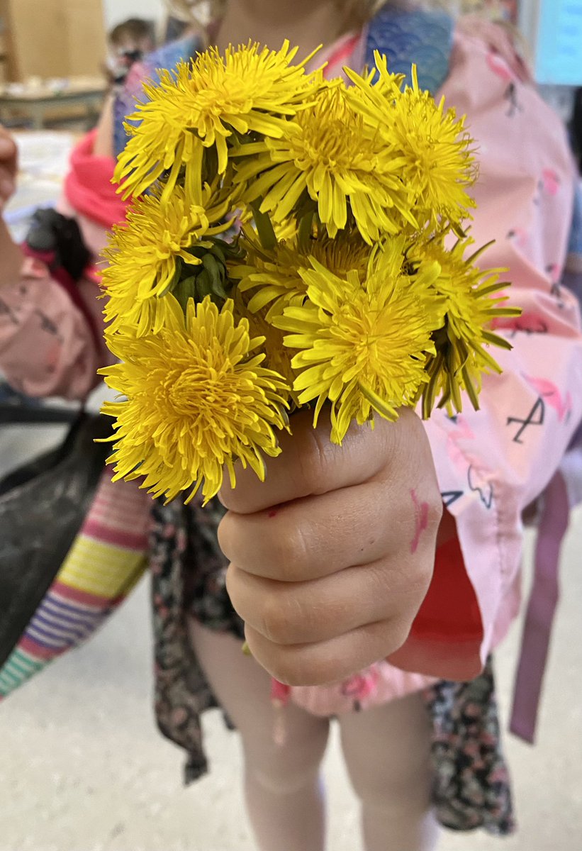 CThompson111809's tweet photo. ‘Tis the season for dandelion bouquets 💛 #kindergartenlove https://t.co/XHwIvV6aDs