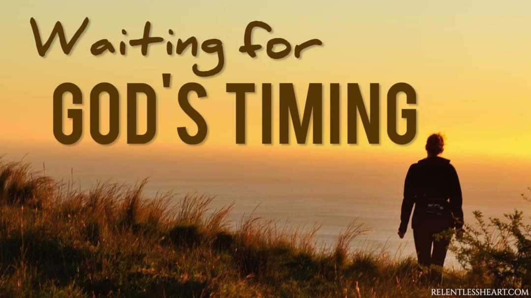 gbejami tweet picture