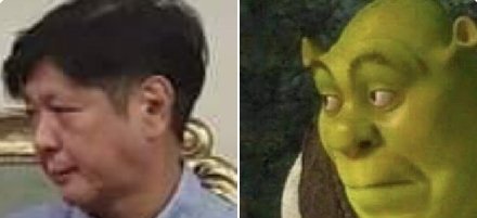 indianramen's tweet photo. same energy. https://t.co/5zJJQyU1cs