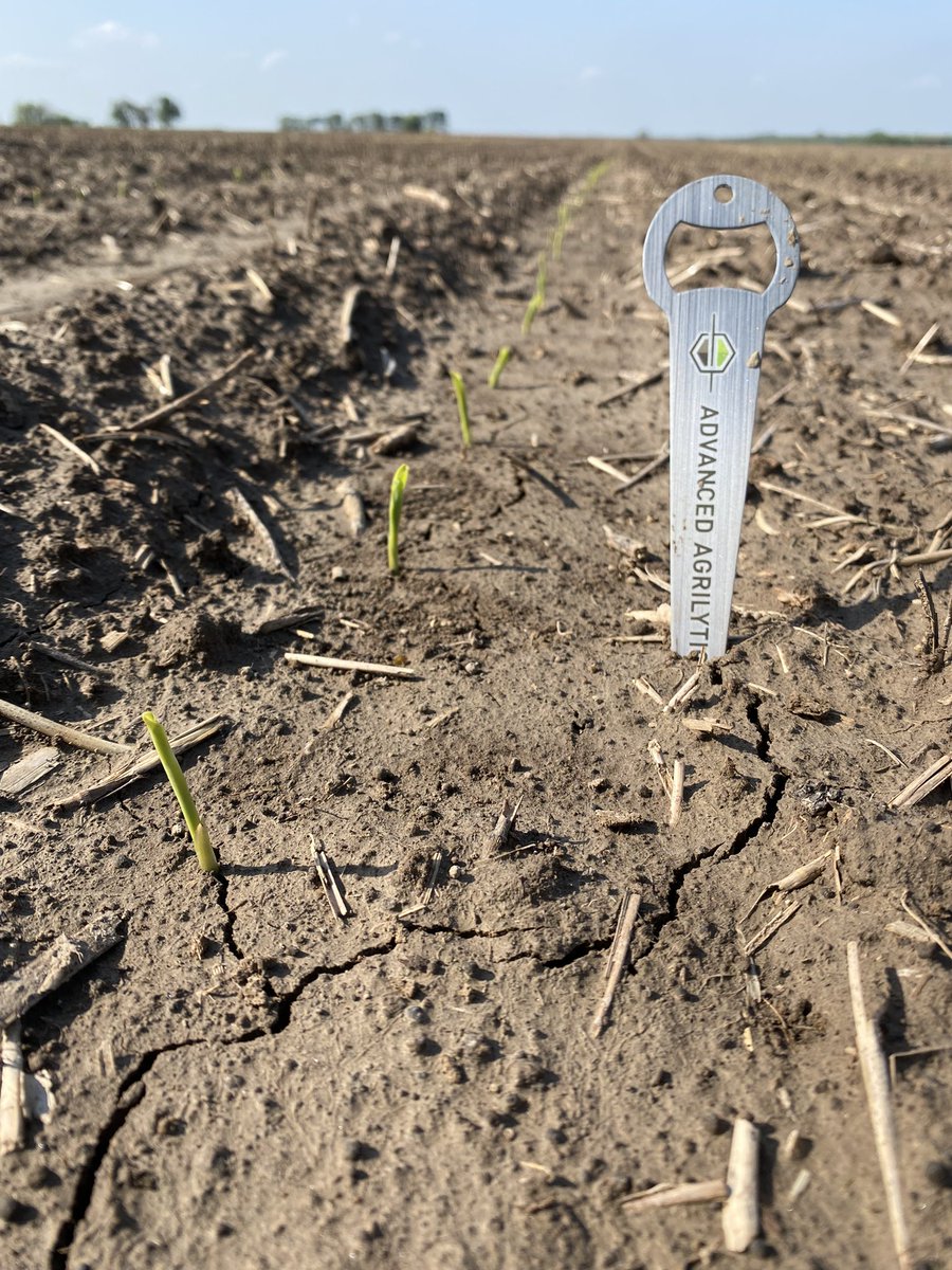 Seth Logan tweet media