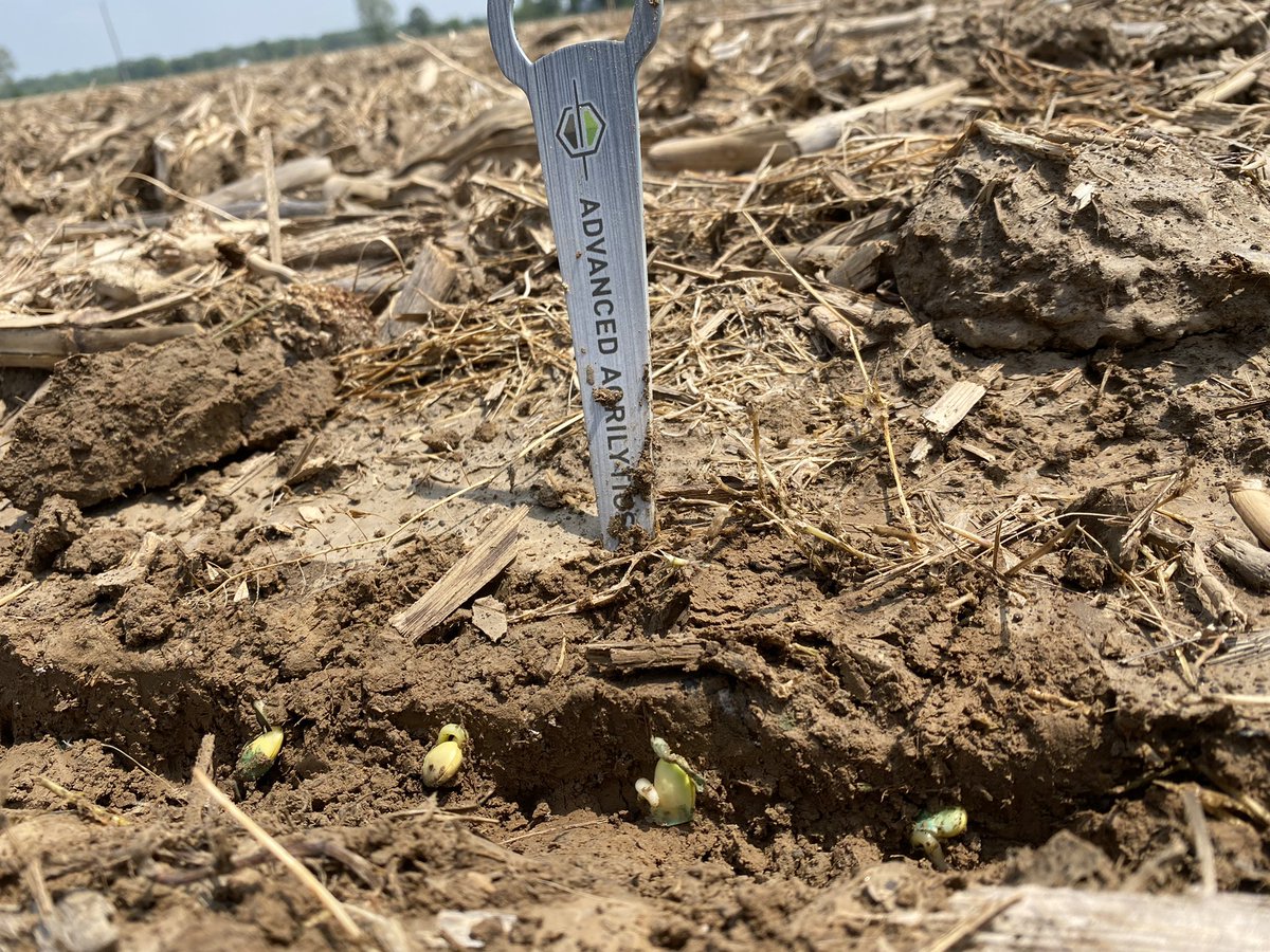 Seth Logan tweet media