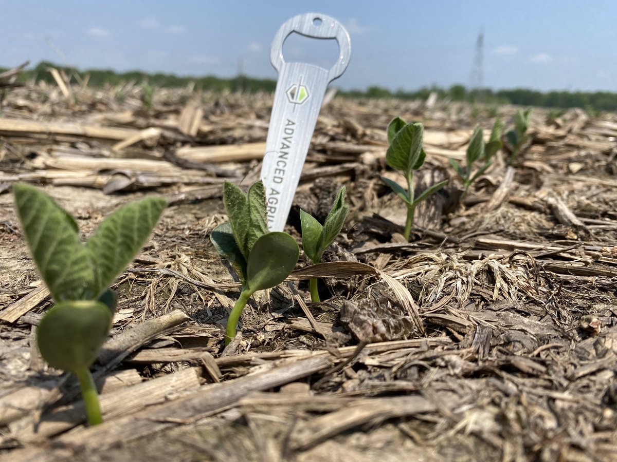 Seth Logan tweet media