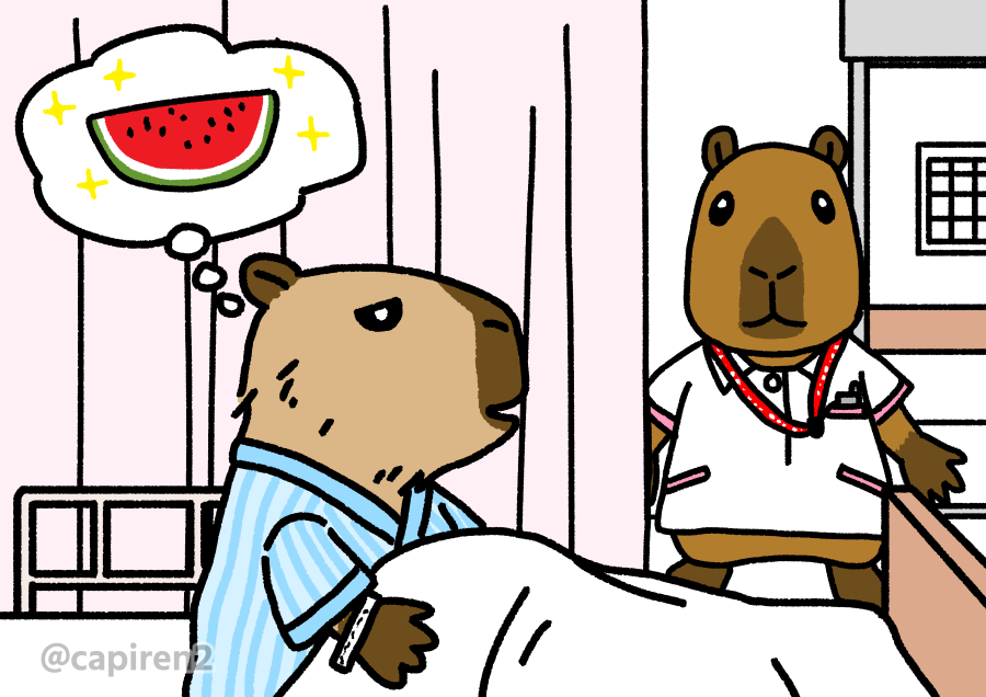 #国際看護師の日 #InternationalNursesDay #illustration　
#capybaraart
看護師カピバラと、スイカが食べたい患者カピ

10日ほど前に憩室炎になって救急外来のお世話になりました。
医療関係者の皆様には本当に感謝しています。
とりあえず現在は血液検査では正常範囲に戻りました。