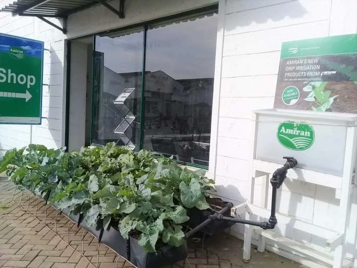 amiran_kenya's tweet photo. #CRAZYOFFER

✔️Get 1/8 drip Irrigation system @12,500K down from 25,000K

✔️ Drip Irrigation system 200SQM comprising of :- 
   ♦️Seeds
   ♦️Chemicals and Fertilizer
   ♦️Tank(250L)  
                    @8,750K down from 17,500K
✔️Plot 10
   ♦️Mapal Trough system

☎️0800720720 https://t.co/GDvvmx53uY