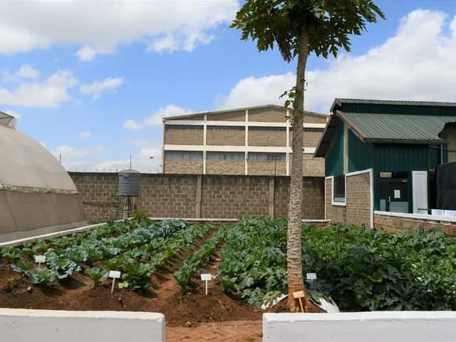 amiran_kenya's tweet photo. #CRAZYOFFER

✔️Get 1/8 drip Irrigation system @12,500K down from 25,000K

✔️ Drip Irrigation system 200SQM comprising of :- 
   ♦️Seeds
   ♦️Chemicals and Fertilizer
   ♦️Tank(250L)  
                    @8,750K down from 17,500K
✔️Plot 10
   ♦️Mapal Trough system

☎️0800720720 https://t.co/GDvvmx53uY