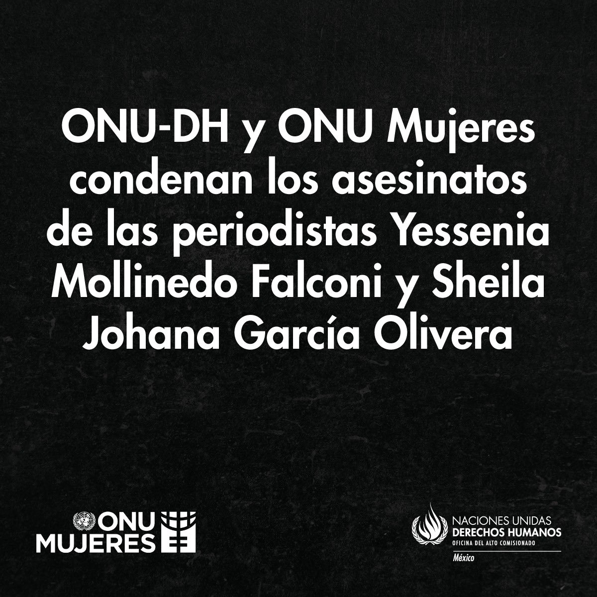 ONUMujeresMX tweet picture