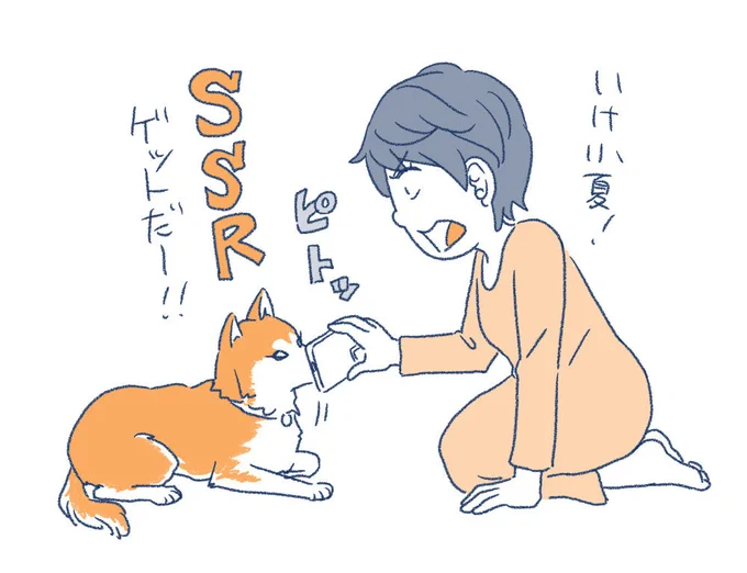 柴タッチその後。
ここぞというときのガチャ要員。 