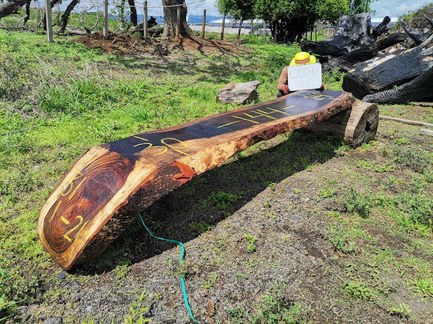 steven_colson's tweet photo. Drips.We sell Espavel, Tropical Almond Tree, and Gavilan Limon woods drips. 

https://t.co/5AIrCOdEHB

#river_table #wood_slabs #parota #monkeypod #rivertableslabs #rivertable #woodworking #epoxy #epoxyresin #epoxytable #wood #resin #resinart #liveedge #epoxyart #interiordesign https://t.co/Gz4cDzkUHk