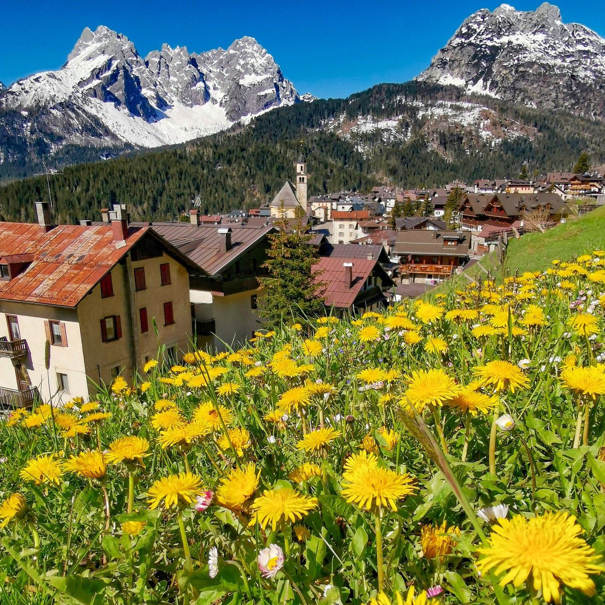 regioneFVGit's tweet photo. 💞 #FriuliVeneziaGiulia da scoprire. I borghi più BELLI d’Italia in #FVG. Benvenuti a #Sappada! Nel cuore delle Dolomiti che sono patrimonio Unesco.
👉 Scopri di più
https://t.co/ikc4kilMcO https://t.co/mswEew1Gh3