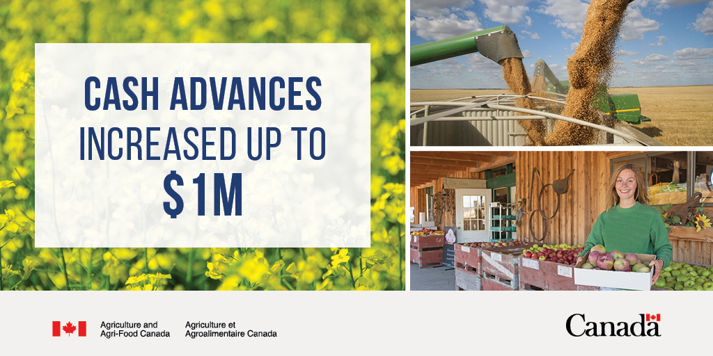 To help cover the rising costs of spring planting, our Advance Payments Program now allows you to receive 100% of your 2022 advance upfront when applying. Learn more: agriculture.canada.ca/en/agricultura…