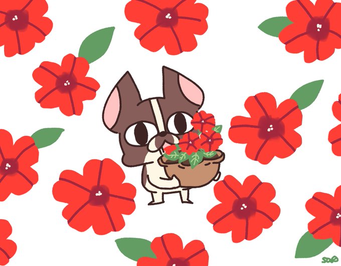 花言葉はのtwitterイラスト検索結果