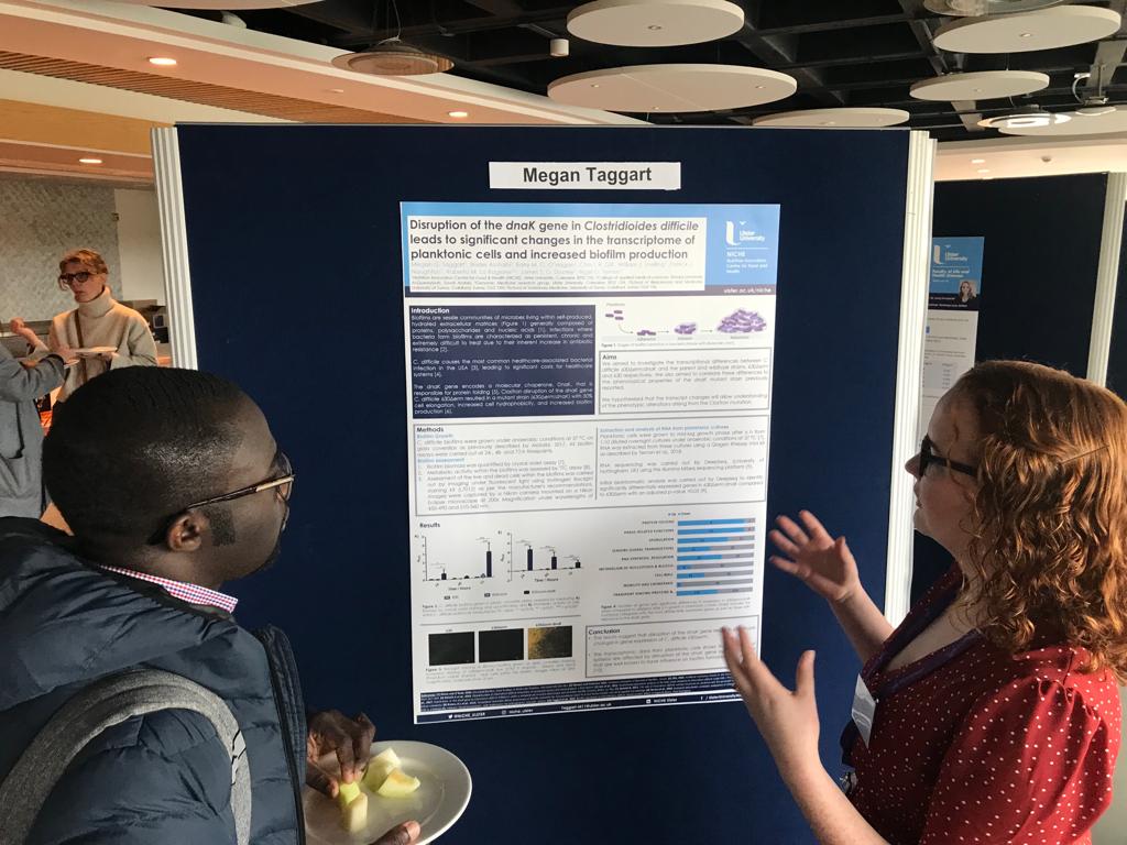 Had a great time at the #UlsterPhDFest today presenting my poster on C. Difficile biofilms and how disruption the dnaK gene results in greater biofilm production. #microbiology #NICHEmicro #research